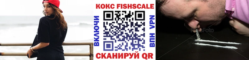 Cocaine FishScale  магазин  наркотиков  Вилюйск 