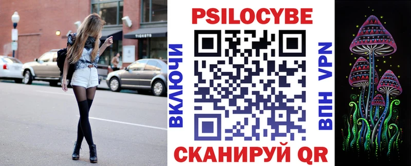 Псилоцибиновые грибы Psilocybine cubensis  Вилюйск 